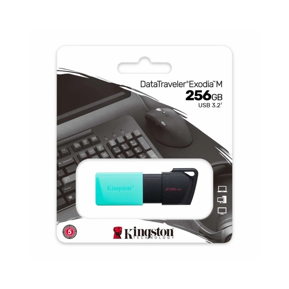 Pen drive  Kingston DataTraveler M 256GB USB 3.2